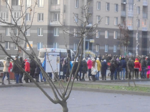 фото с сайта vk.com, пользователь Людмила Панюшева